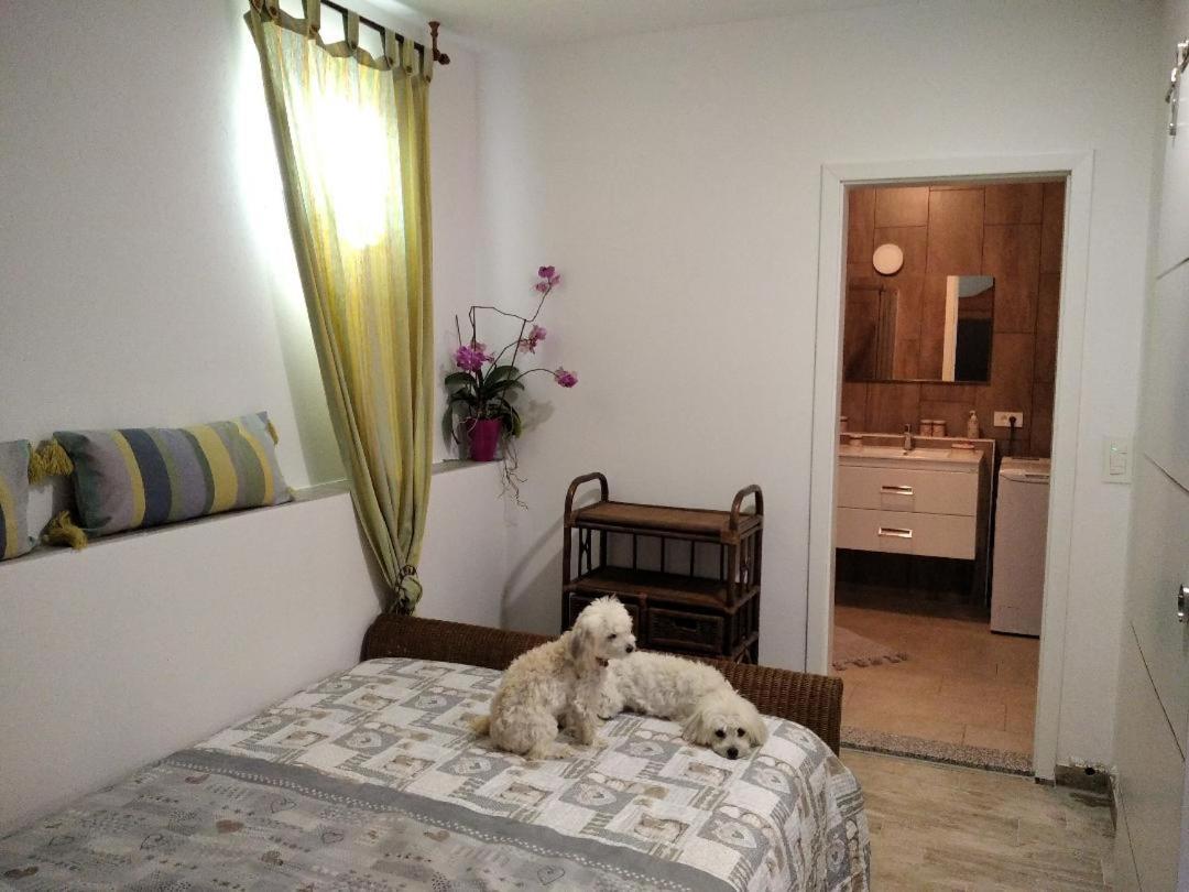 Apartment Trieste M&M Múggia Εξωτερικό φωτογραφία