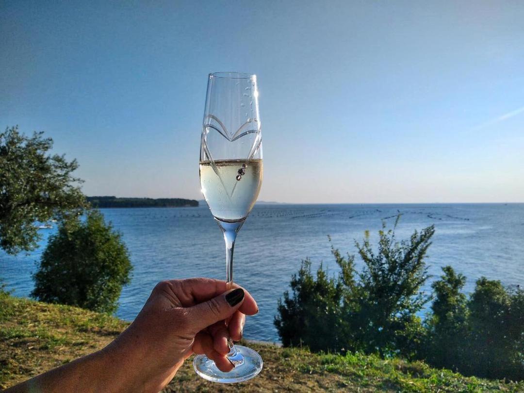 Apartment Trieste M&M Múggia Εξωτερικό φωτογραφία