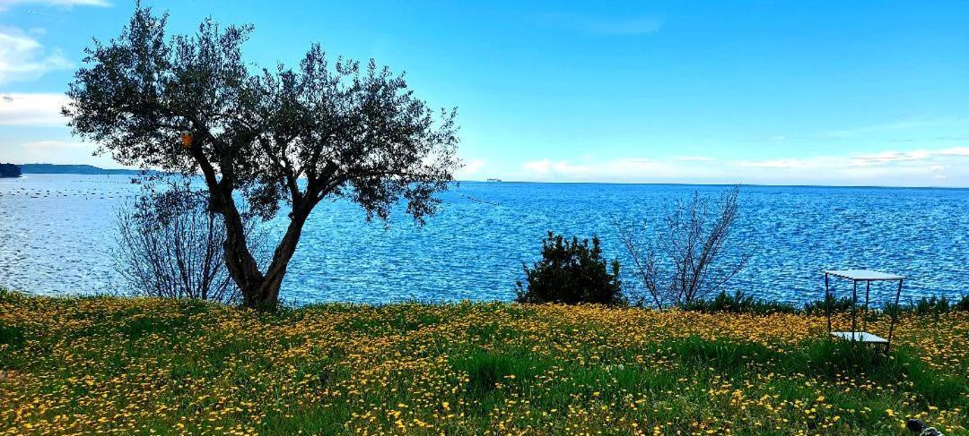 Apartment Trieste M&M Múggia Εξωτερικό φωτογραφία